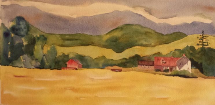 Carolyn Crotty