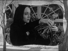 Carolyn Jones