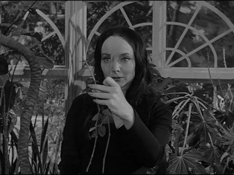 Carolyn Jones