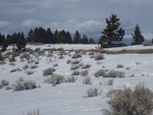 Carrie Nye #3103191 picture (Landscape Medium)