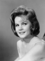 Carroll Baker #324694 picture (Portrait Medium)