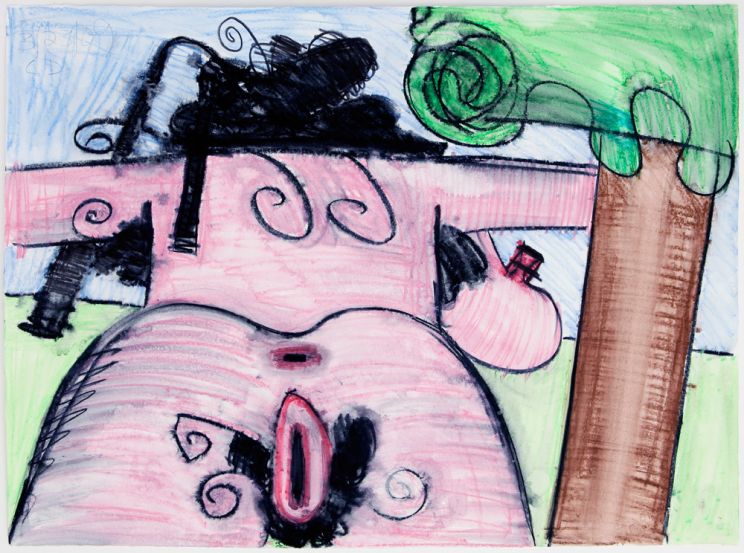 Carroll Dunham