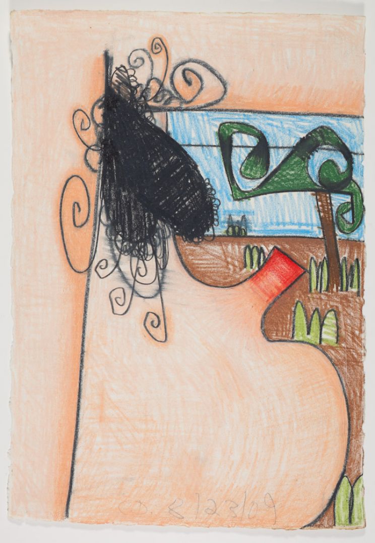 Carroll Dunham