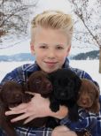 Carson Lueders