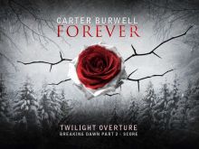 Carter Burwell