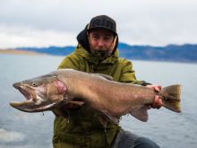 Casey Anderson #2945965 picture (Landscape Medium)