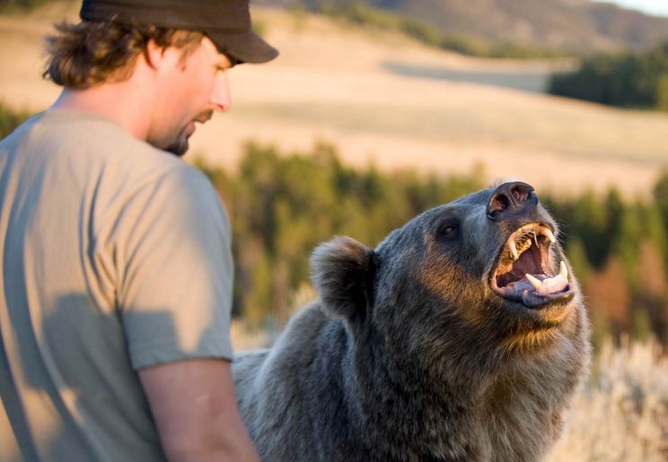 Casey Anderson