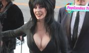 Cassandra Peterson