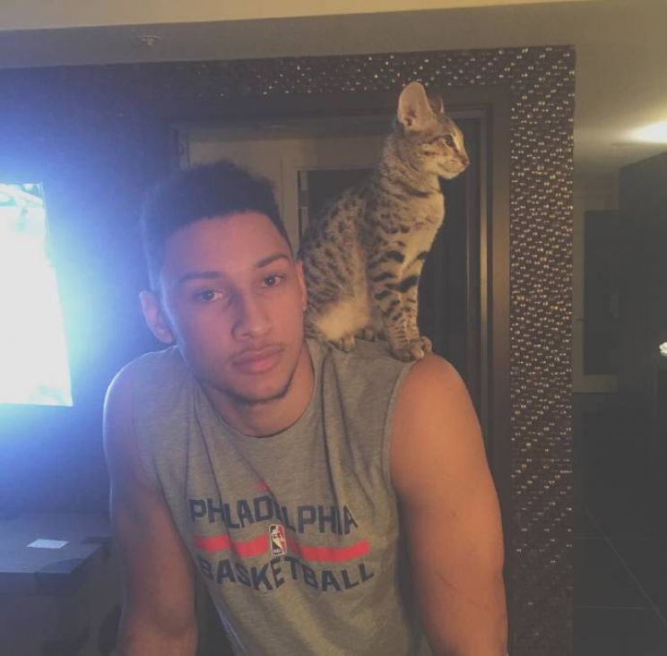 Cat Simmons