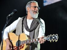 Cat Stevens