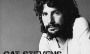 Cat Stevens