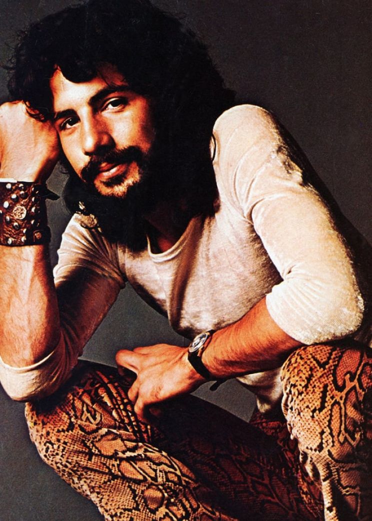 Cat Stevens