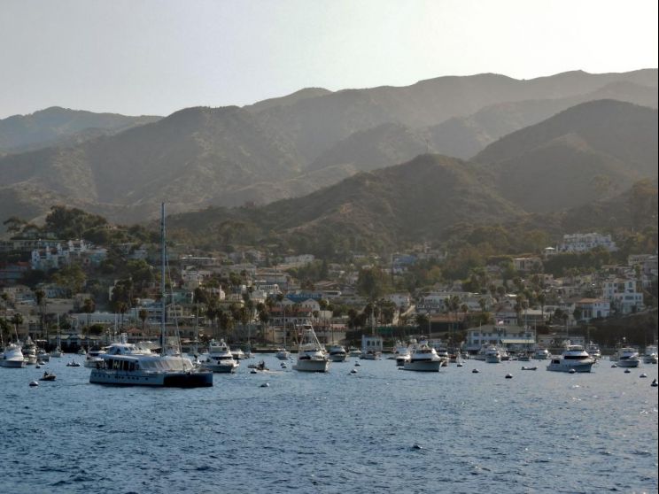 Catalina Parks