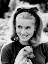 Catherine Deneuve photo