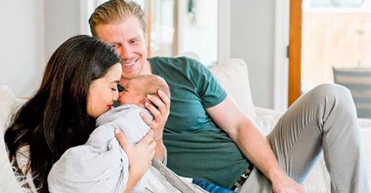 Catherine Lowe