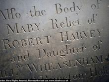 Catherine Rabett #3080666 picture (Landscape Medium)