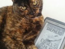 Catherine Shepherd