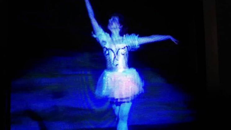 Cathy Nesbitt-Stein