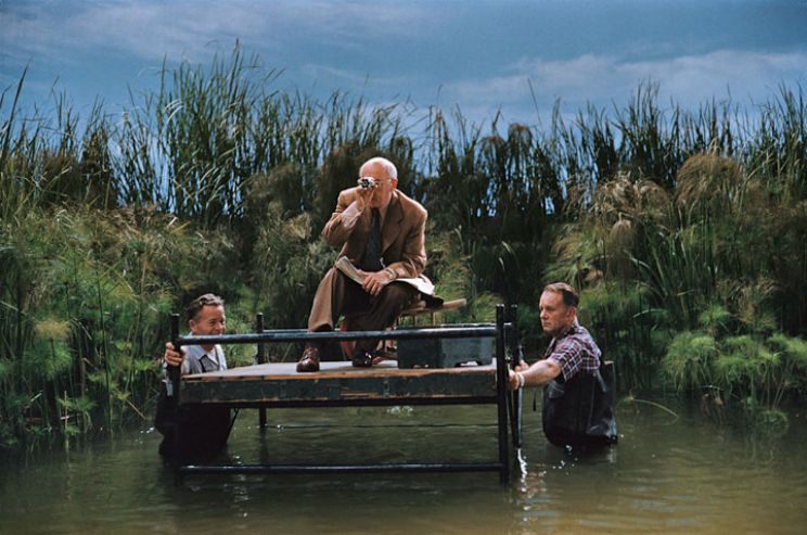 Cecil B. DeMille