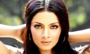 Celina Jaitly