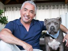 Cesar Millan