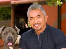 Cesar Millan