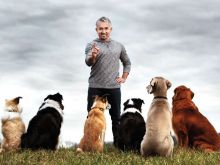 Cesar Millan