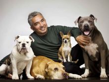 Cesar Millan