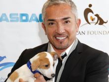 Cesar Millan