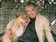 Cesar Millan