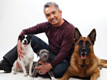 Cesar Millan