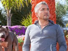 Cesar Millan