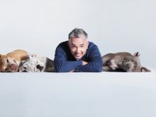 Cesar Millan