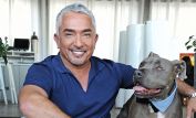 Cesar Millan