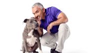 Cesar Millan