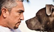 Cesar Millan