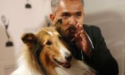 Cesar Millan