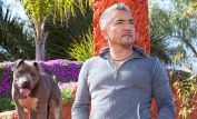 Cesar Millan