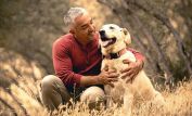 Cesar Millan