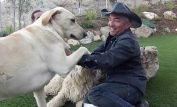 Cesar Millan