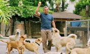 Cesar Millan