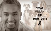 Cesar Millan