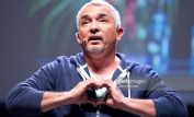 Cesar Millan