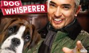 Cesar Millan