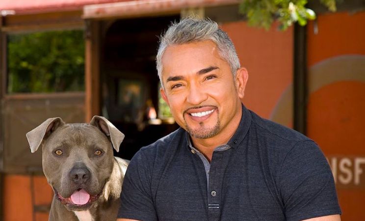 Cesar Millan