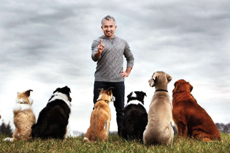 Cesar Millan