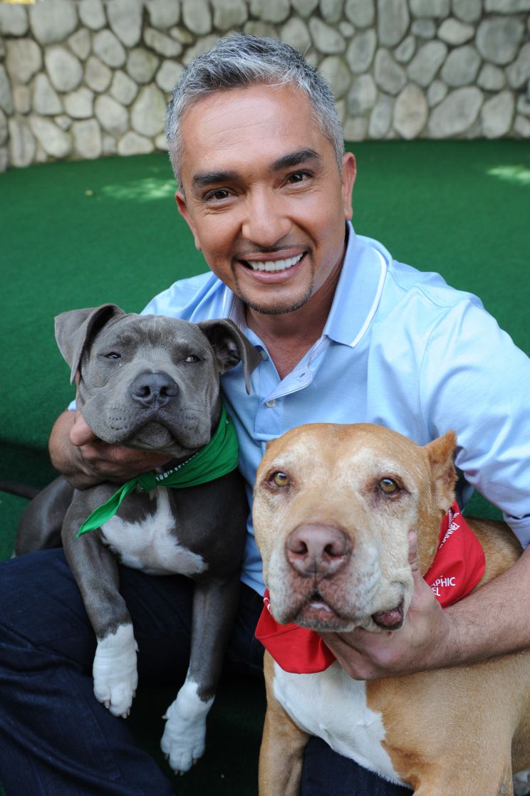 Cesar Millan