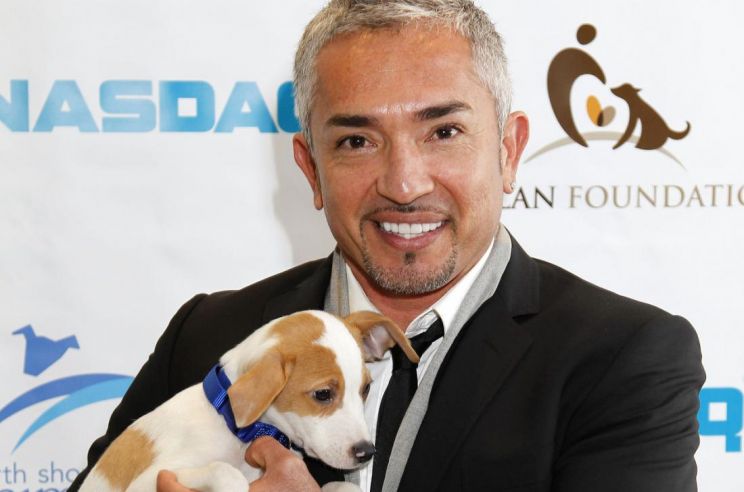 Cesar Millan