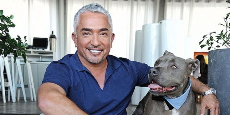 Cesar Millan