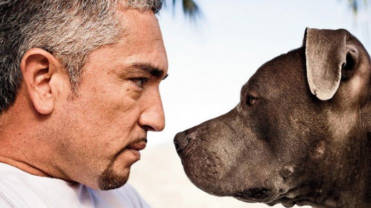 Cesar Millan